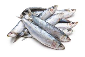 Frozen Sardines